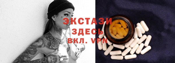 дживик Богородск