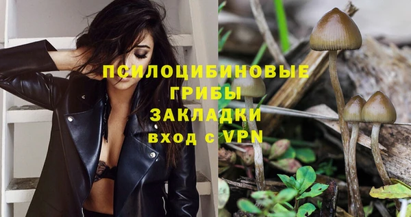 дживик Богородск